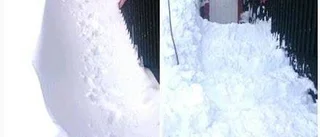 Bildextra: Vädret i somras