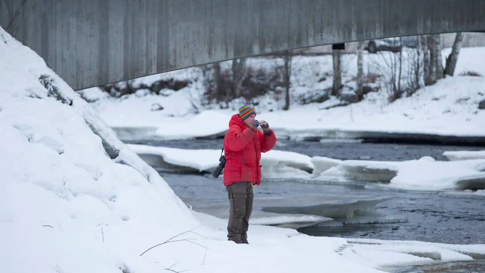 KAMERA OCH KIKARE. Gunnar Westrin säger att det är svårt att säga exakt hur många uttrar som finns i råneälven men han uppskattar att det finns mellan sex och åtta stycken mellan Gunnarsbyn och kusten.
