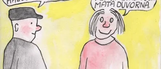 Bildinsändaren: Allas vår framtid?