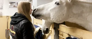 Mollie och mormor hänger med varandra i stallet