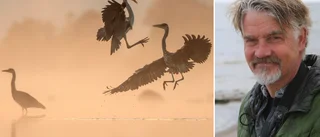 Gotländsk naturfotograf knep silvermedalj