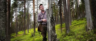 Skogens bästa vän