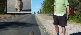 Liten lappuggla fick hjälp av polis