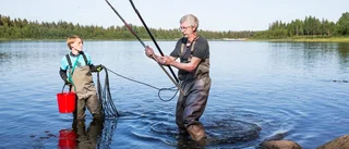 Gruvfiskar kontrolleras
