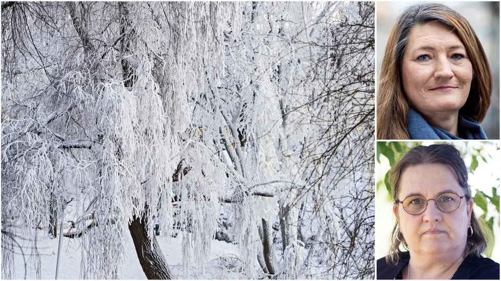 Vi tar vårt ansvar. Nu måste regeringen visa hur den ska ta sitt ansvar för att inte arbetarna ska fara illa under vintern, skriver Susanna Gideonsson, LO-ordförande, och Carola Andersson, tf distriktsordförande LO Norra Sverige.