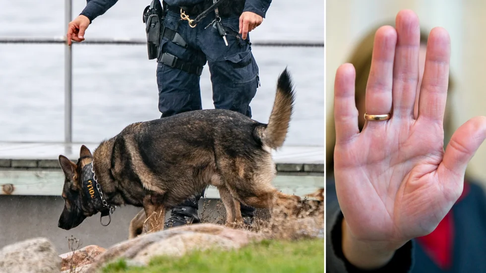 Ägaren var inte intresserad av att få tillbaka sin hund. Hunden är inte den på bilden.