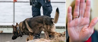 Hund lämnades in till polisen – blev genast omhändertagen av länsstyrelsen • Ägarens besked