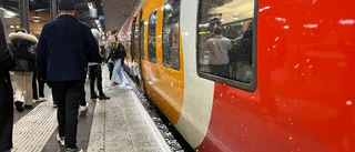 Flicka antastad på tåg – polisen väntade på stationen