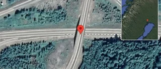 Renar på vägen på E4