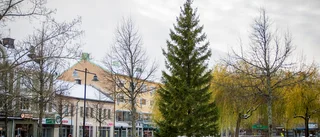 Politiker stå på er – bygg ett hus på torget