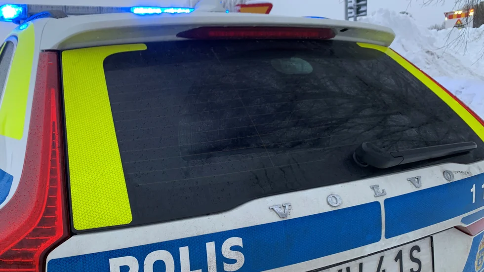 Mannen och kvinnan misstänks för flera brott.