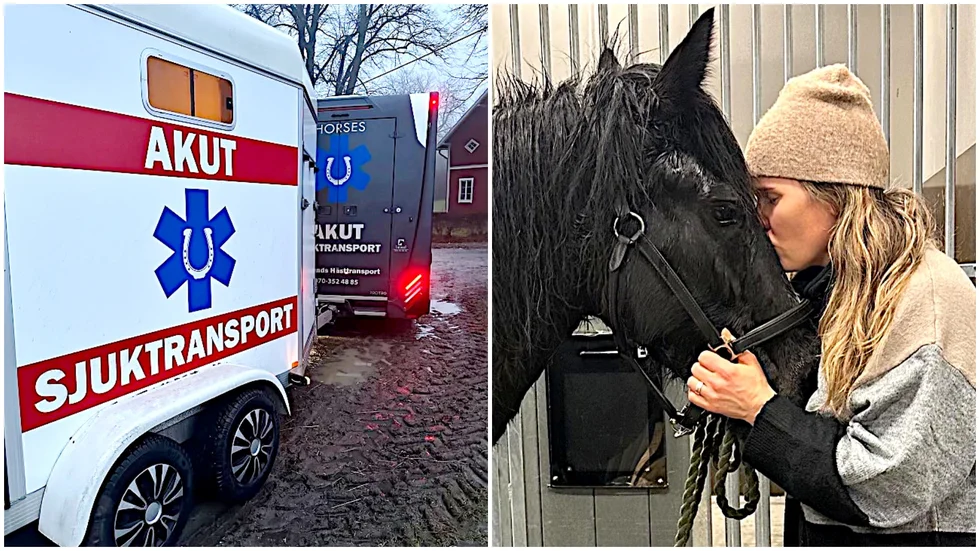 Madelen Krygegårds connemaraponny Arwen skadades allvarligt när den skrämdes av nyårsraketer. Ponnyn fick transporteras med djurambulans till hästkliniken i Ultuna.