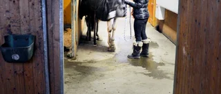 Hon lever i en hästdröm