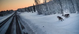 Trafikverket: Därför saltas E10 i höst