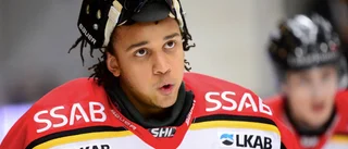 ”Är vansinniga spekulationer”