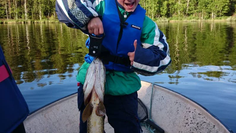 EN WOBBLER. Var betet som lockade den här gäddan på 6410 gram till hugg när Anton Grape, Luleå, fiskade i Puostijärvi.