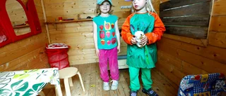 Vem tog våra kaniner och hunden som kunde skälla?