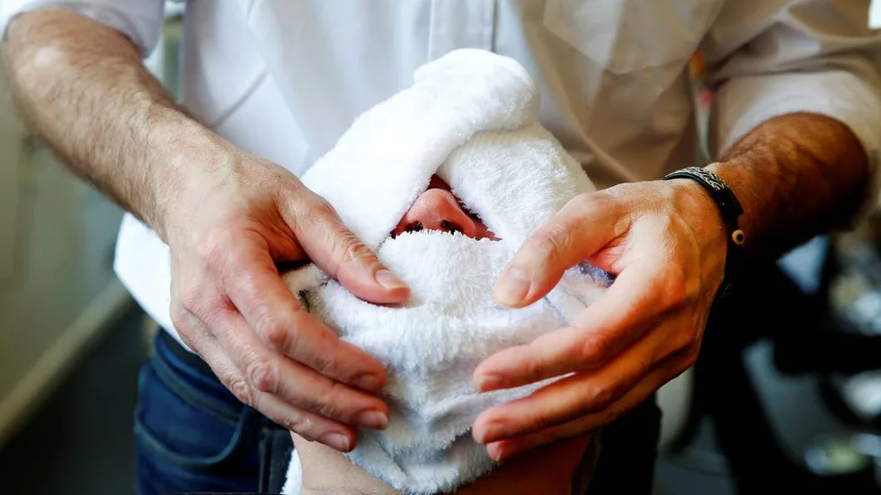 Mumie. En varm handduk lindas om ansiktet både innan och efter rakningen för att öppna porerna och få ut orenheter.