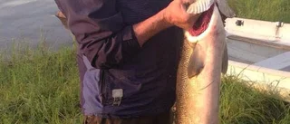 Några fina tillägg i listorna den här veckan