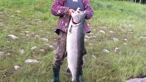 TUNG BJÄSSE. Bror Kostenniemi  i Kardis  fick ta i rejält för att lyfta den 22,5 kilos laxbjässe som han drog upp ur Torneälven, och som ger honom ledningen i den heta laxklassen i Fiske-DM.