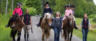 Hästskola med nordsvensk i huvudroll