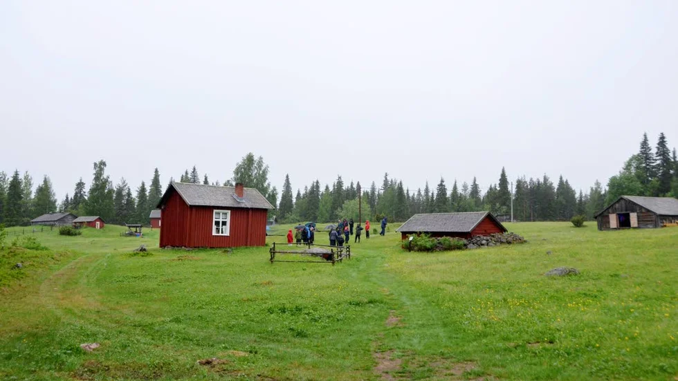 FÄBODEN. Nu strövar fjällkor, höns och grisar runt på området.