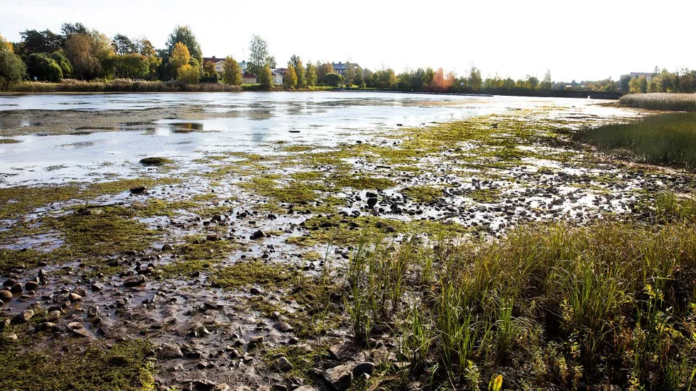 lågvatten. Vattenståndet i Bottenviken var på tisdagen 75 centimeter under normalvattenståndet, något som också påverkar Luleås innerfjärdar. Av Skurholmsfjärden vattenspegel återstår inte mycket.