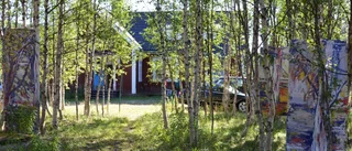 Skön konsthelg i Sarvisvaara