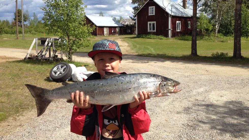 Wilmer Hultqvist skulle fiska harr - men fick en lax på 6,5 kilo.