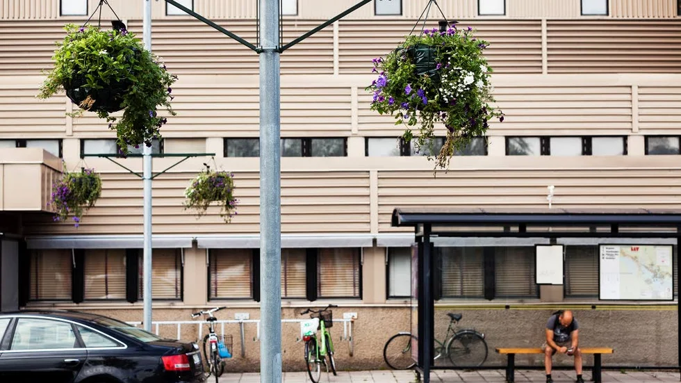 HÄNGER. Amplarna på Skeppsbrogatan är inspirerade av London där den här typen av stadsutsmyckning är vanlig.