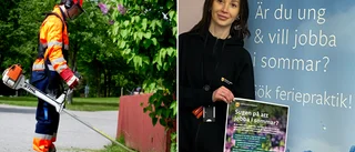 Praktikplatserna tryter i sommar