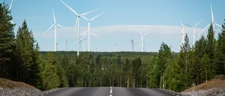 Äntligen ska utländska investeringar granskas