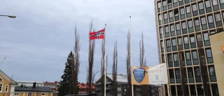 Nya nazistaktioner i natt