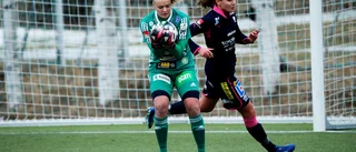 Drömstart för Piteå: "Riktigt bra match av hela laget"