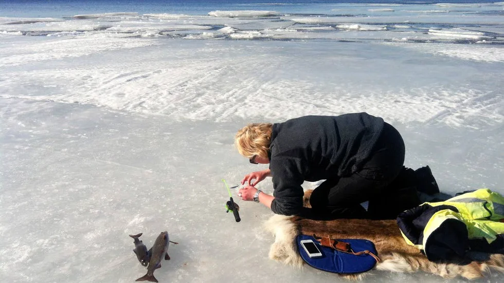 BLÄNKE. ”Harren tog bra på förmiddagen, sen blev det stiltje.Vi provar ett annat blänke och hoppas på mer fiskelycka”.