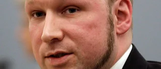 Seierstad ser en ensam terrorist