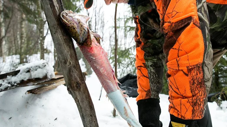 Lars Thyni flår laken med hjälp av ett par tänger.