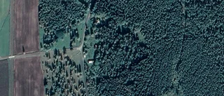 21-åring ny ägare till gård i Vimmerby - 1 600 000 kronor blev priset