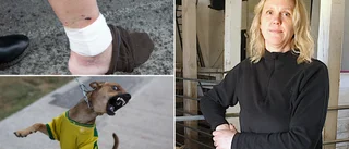 Hundägaren inte hittad – polisen lägger ned