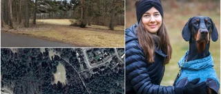 Anjelina vill bygga Västerviks första hundlekgård