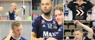 DOMEN: Så har spelarna i Visby IBK presterat