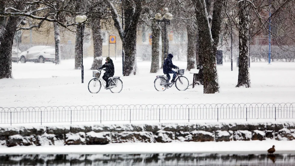 Vintern kan stanna längre i år. Men det behöver inte betyda att snön gör det.
