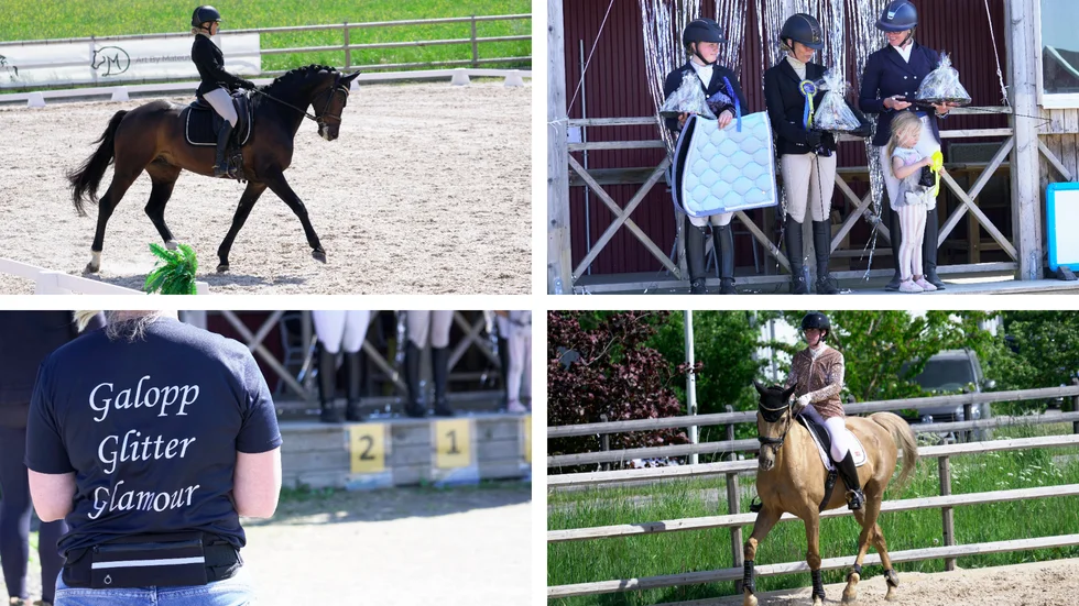 Margret Segui och D'Capo Deluxe och stilrent klädda i guldtema. Pristagarna i Medelsvår B:1: Margret Segui, Matilda Sundin och Nina Lilja. Även funktionärerna var klädda enligt temat. Ett riktigt glamoröst ekipage var Marie Nyman och Malmédy, tävlandes för Valla ponnyklubb.