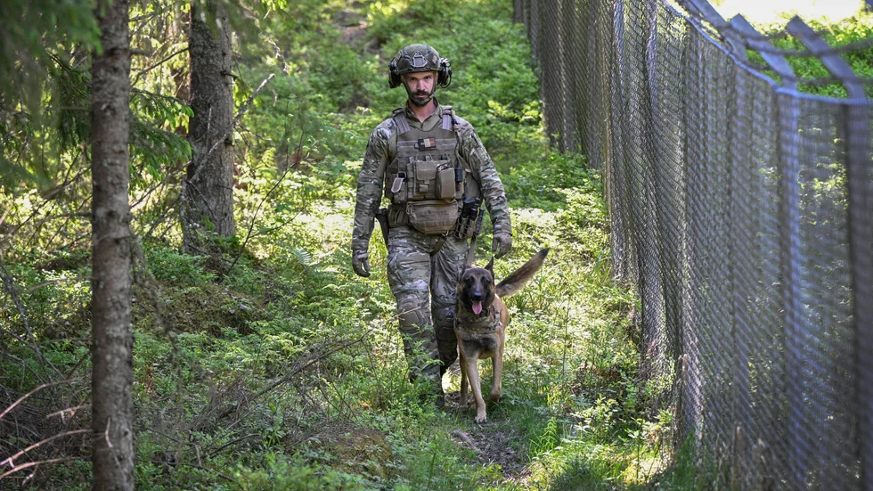 Patrullhunden Stitch, en snart treårig malinois, deltar i tillsammans med hundföraren Davey Slingers.