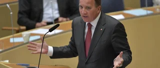 Riksdagen är folkets främsta företrädare