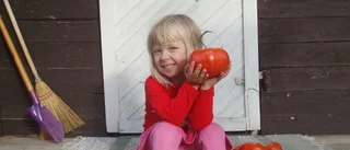Efterlysning: Vi vill se dina grönsaker