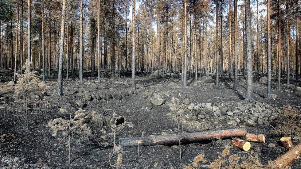 Första dygnet utan en ny skogsbrand – men läget är fortsatt allvarligt.