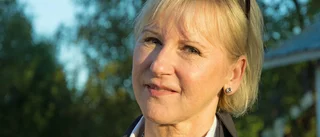 Politikertätt på Stora Nolia