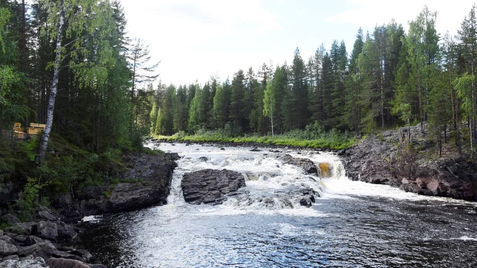 Brändbergsfallet mellan Gunnarsbyn och Mårdsel i Råneäälven hyser en fin laxpool. Rätt dag kan du se laxen vandra uppför fallet via hällorna.