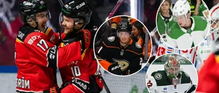 Noll från Luleå till NHL – för första gången på tio år
